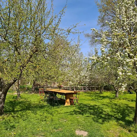 With Garden Daire Krusenhagen