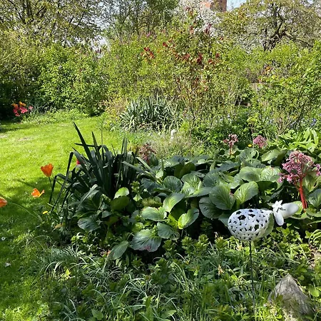 With Garden * Krusenhagen