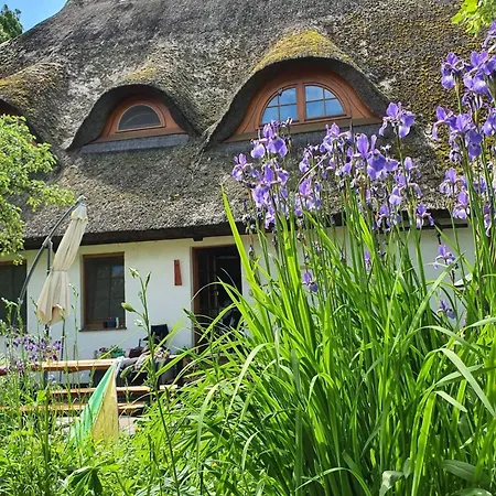 Daire With Garden Krusenhagen