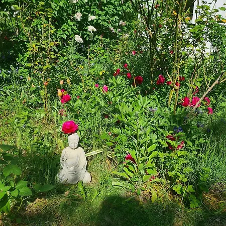 With Garden Krusenhagen