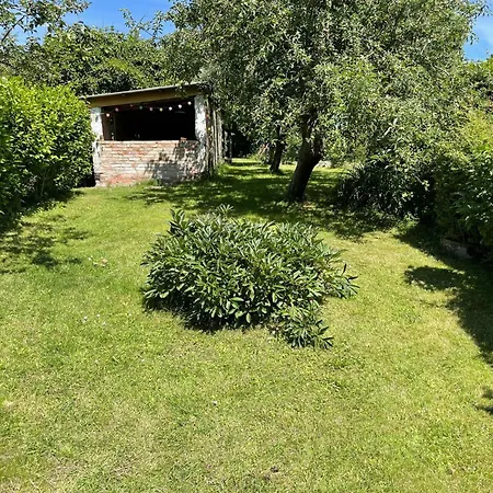 With Garden