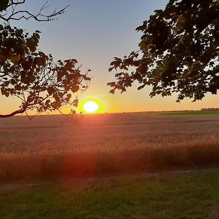 With Garden Апартаменты Krusenhagen