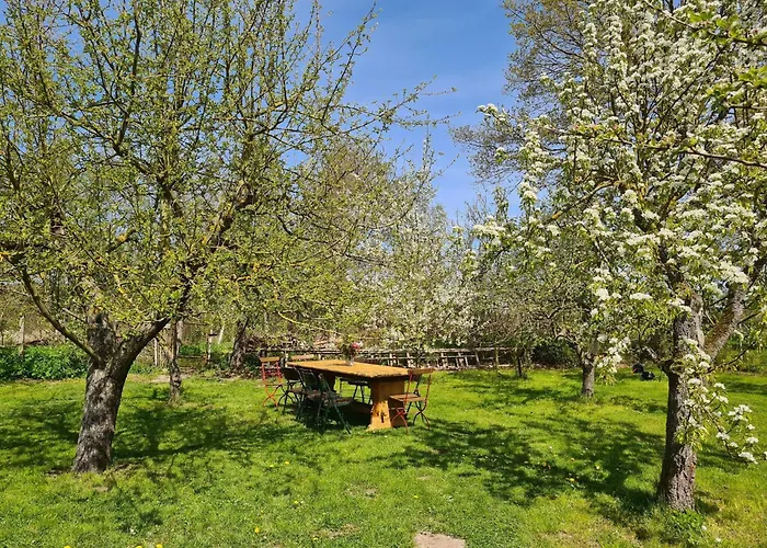 With Garden Apartment Krusenhagen