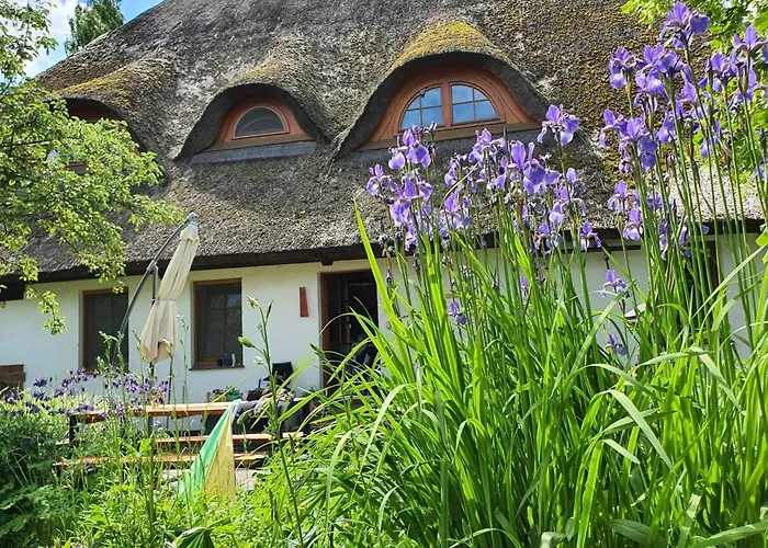Apartment With Garden Krusenhagen