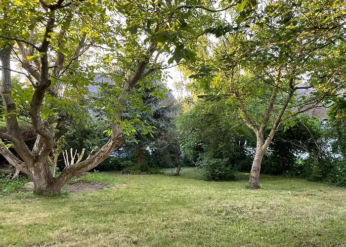 Apartment With Garden